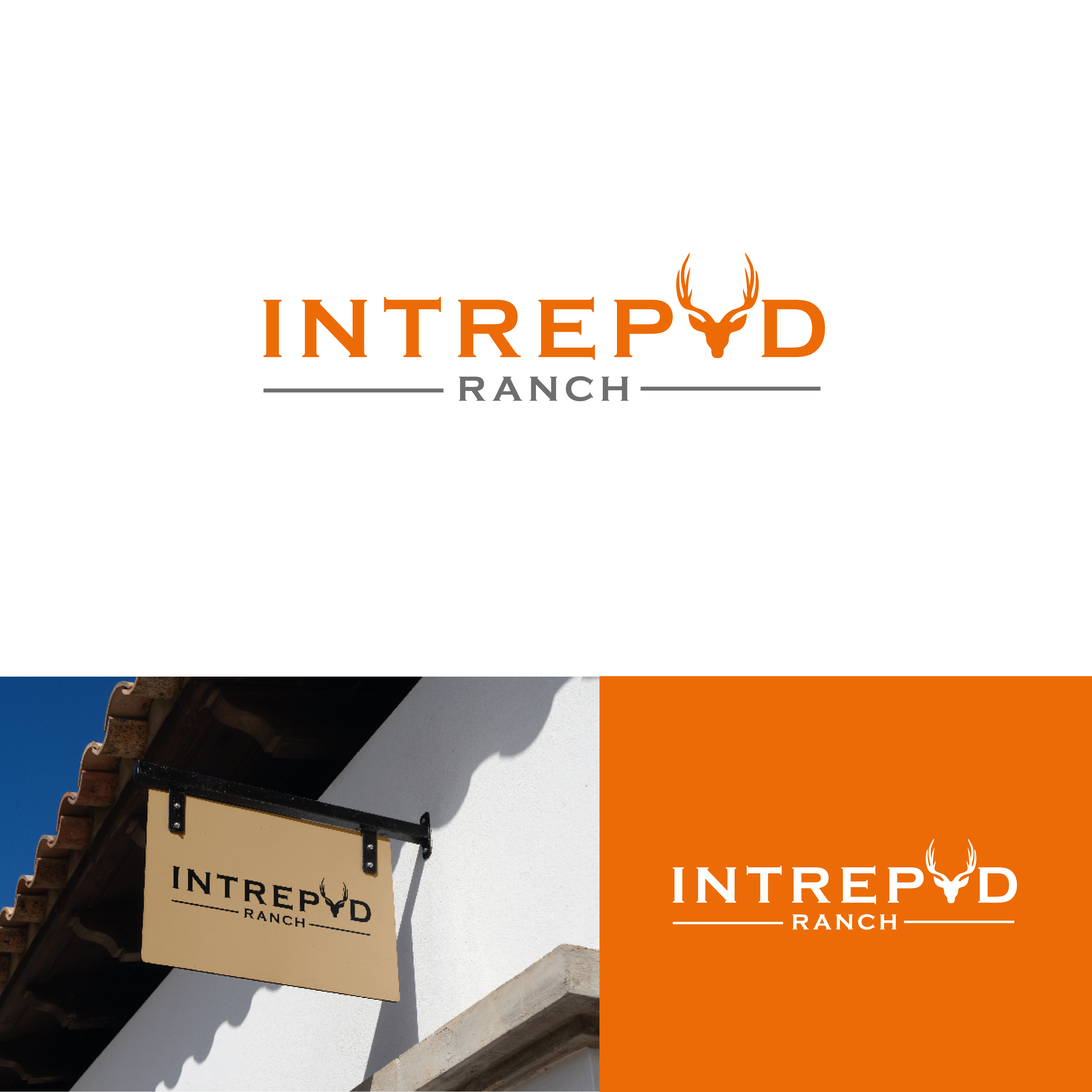 Design de Logo par AbhishekkM'24 pour Intrepid Ranch | Design #33749326