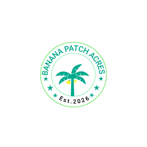 Logo Design by Mahmud0199