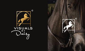 Logo Design by Swift.art2024 for this project | Design #33769987