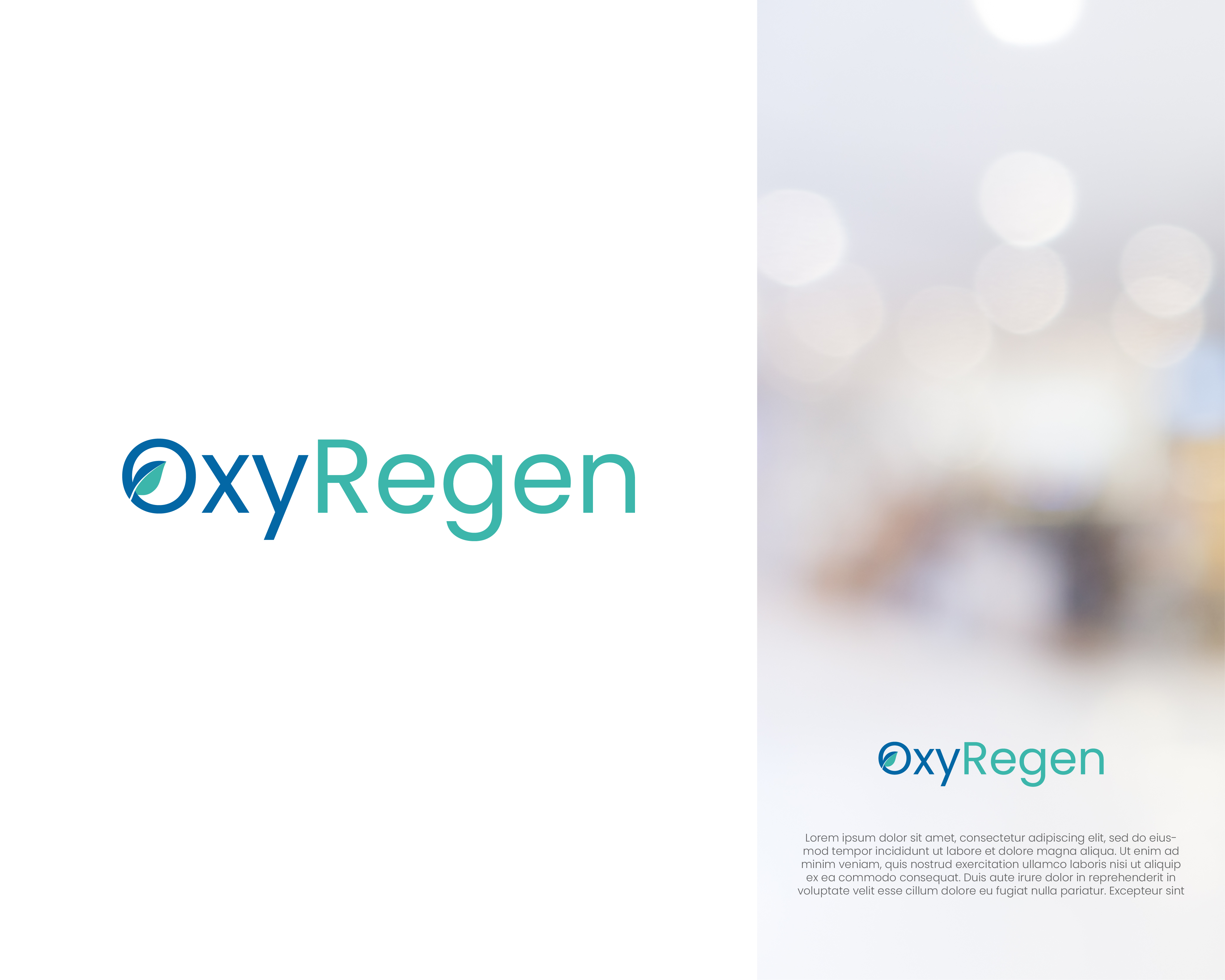 Diseño de Logo por MukulVibes para este proyecto | Diseño #33805644