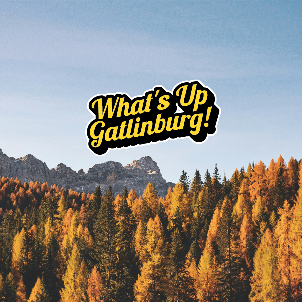 Logo-Design von Jerwin Intac für dieses Projekt | Design #33789140