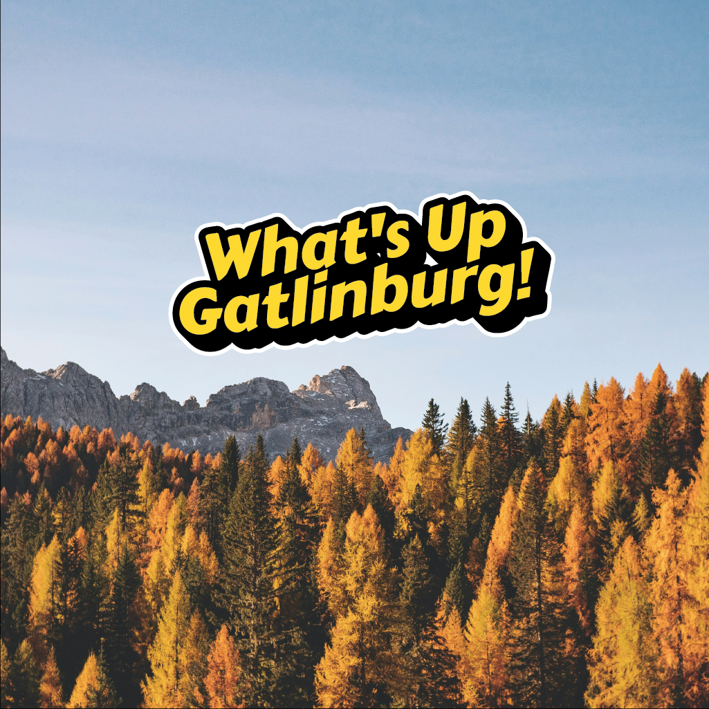 Logo-Design von Jerwin Intac für dieses Projekt | Design #33789147