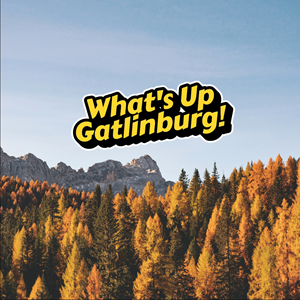 Logo Design by Jerwin Intac for this project | Design: #33789147