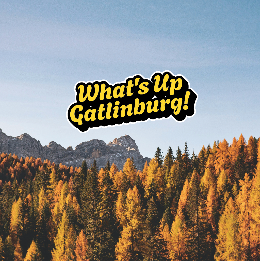 Logo-Design von Jerwin Intac für dieses Projekt | Design #33789151