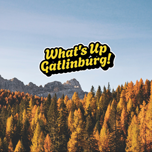 Logo Design by Jerwin Intac for this project | Design: #33789151