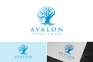 Image du Design