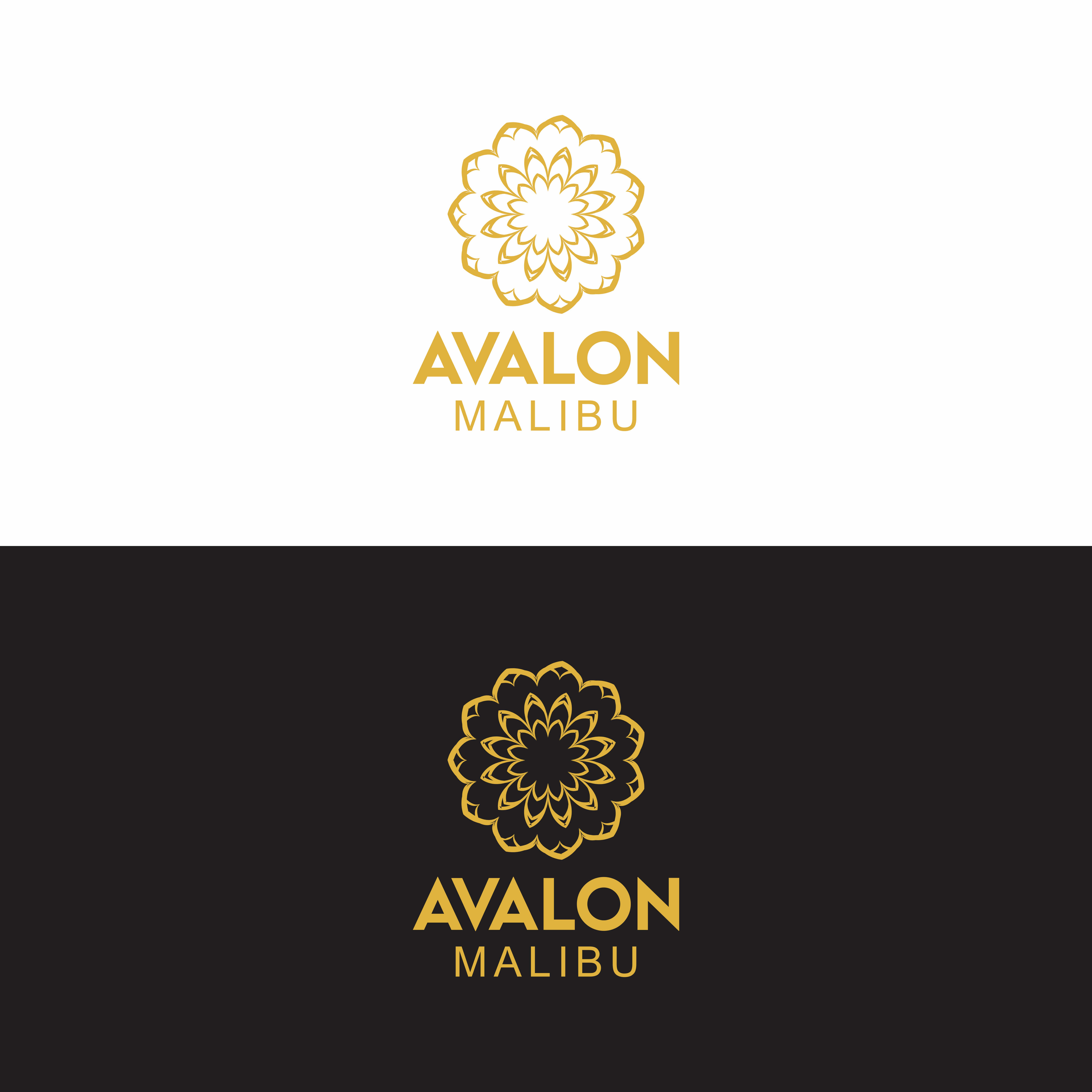 Diseño de Logo por cahdesign para este proyecto | Diseño #33763331