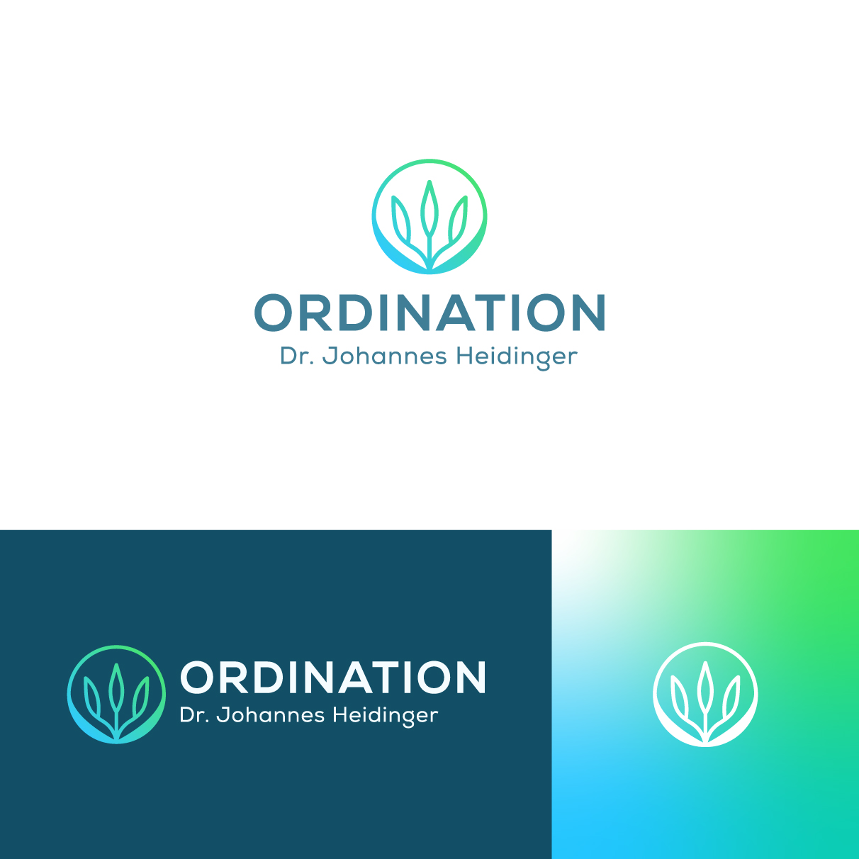 Diseño de Logo por The Lion Studios para Ordination Dr. Johannes Heidinger | Diseño #33785306