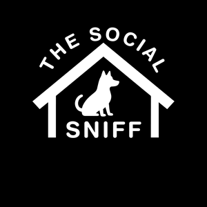 Logo-Design von Mir Graphics für dieses Projekt | Design: #33766859