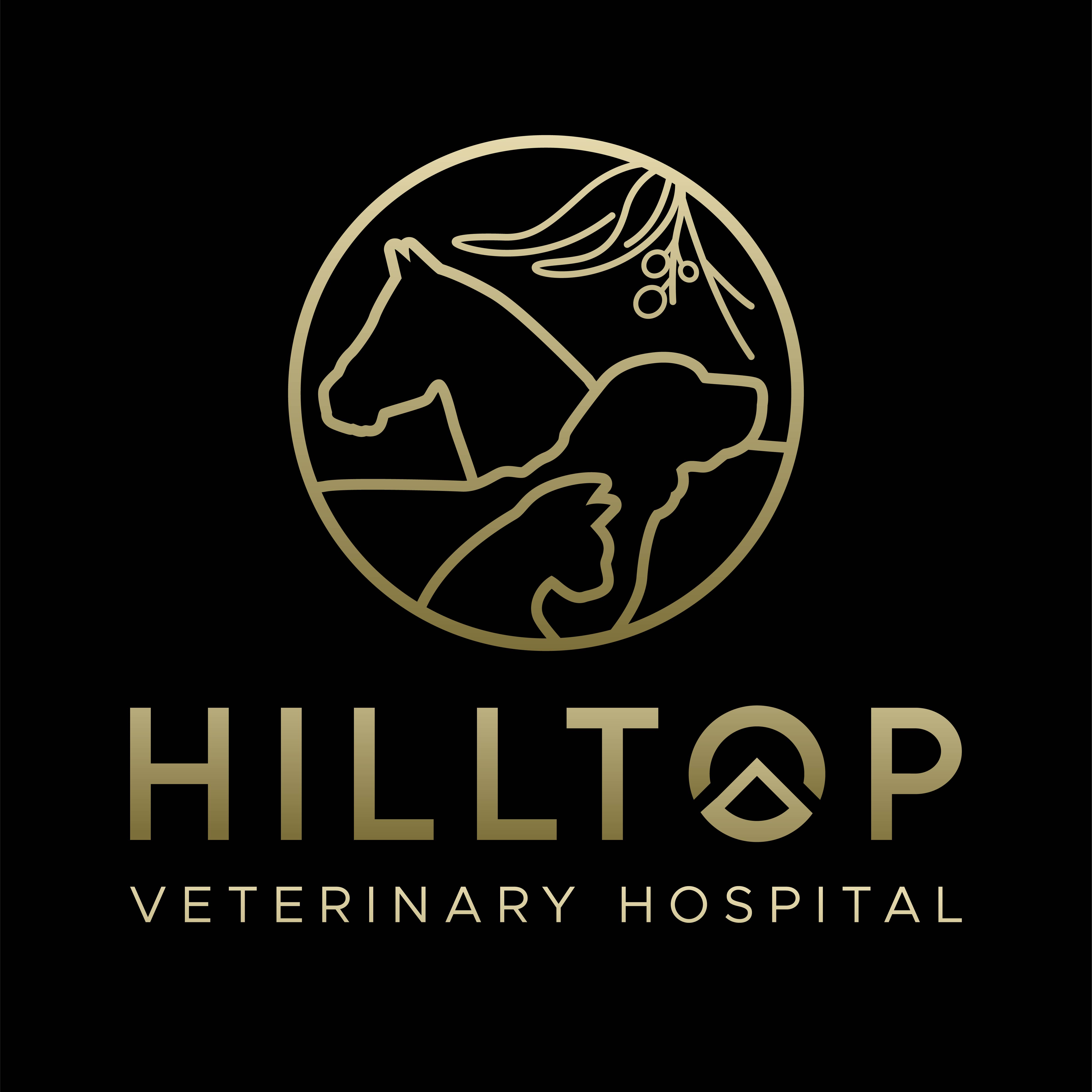 Logo Design by John Mark Arts for this project | Design #33773130