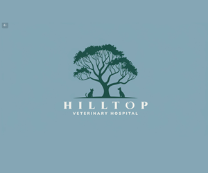Logo Design by Natan for this project | Design: #33806409