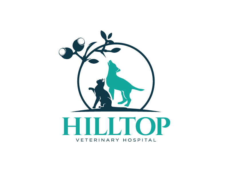 Logo Design by Ansh Design for this project | Design #33779522