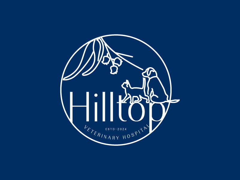 Logo Design by Ansh Design for this project | Design #33779525