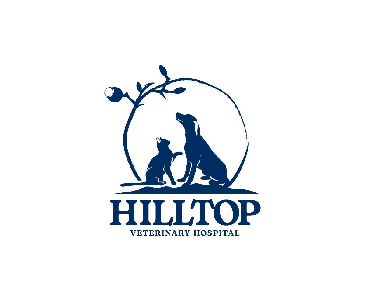 Logo Design by Ansh Design for this project | Design #33947388