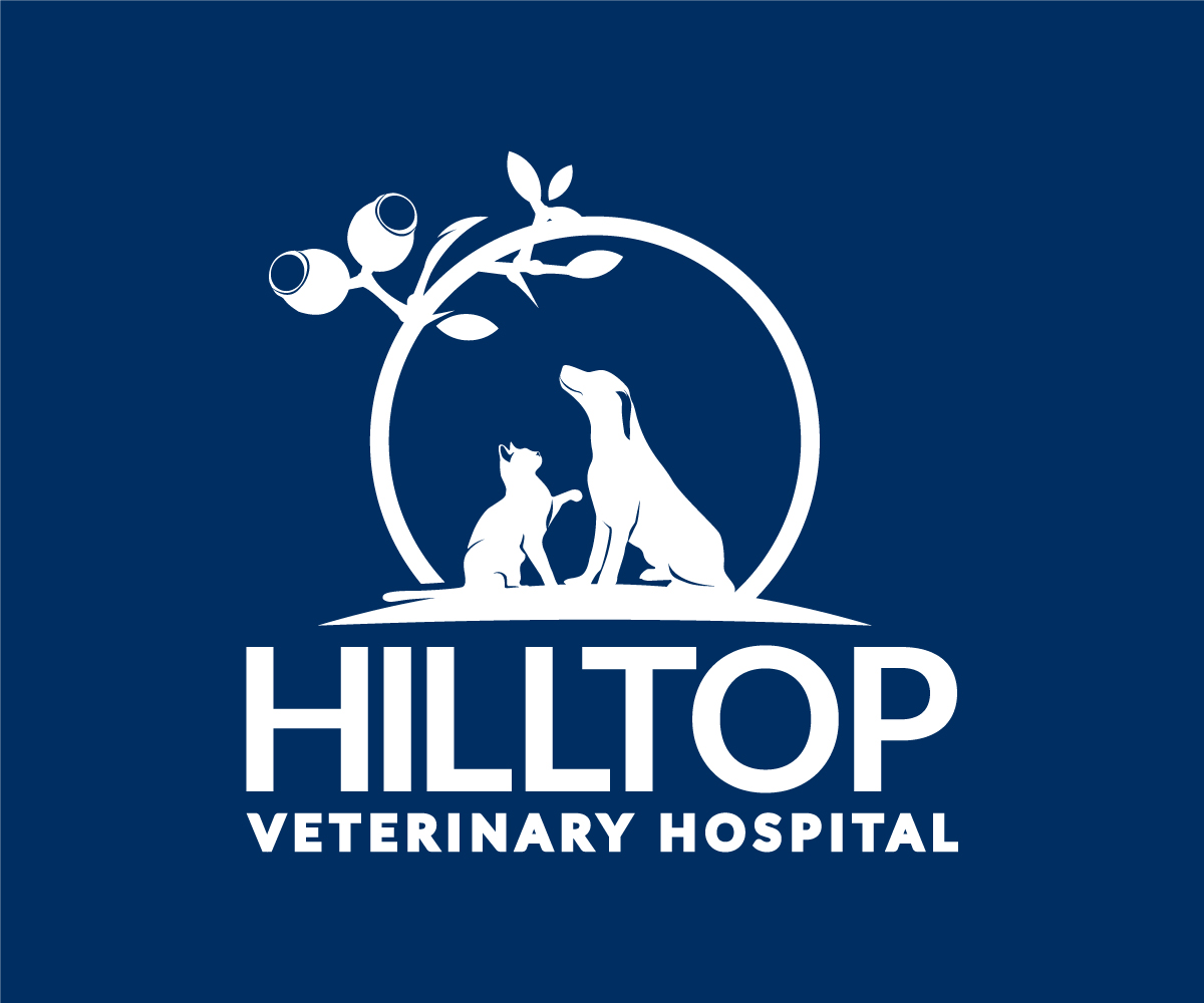 Logo Design by Ansh Design for this project | Design #33980021