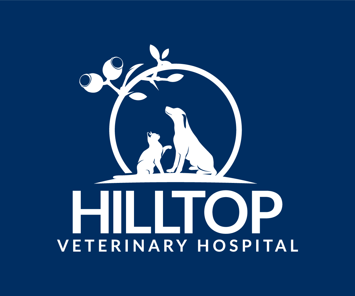 Logo Design by Ansh Design for this project | Design #33980022