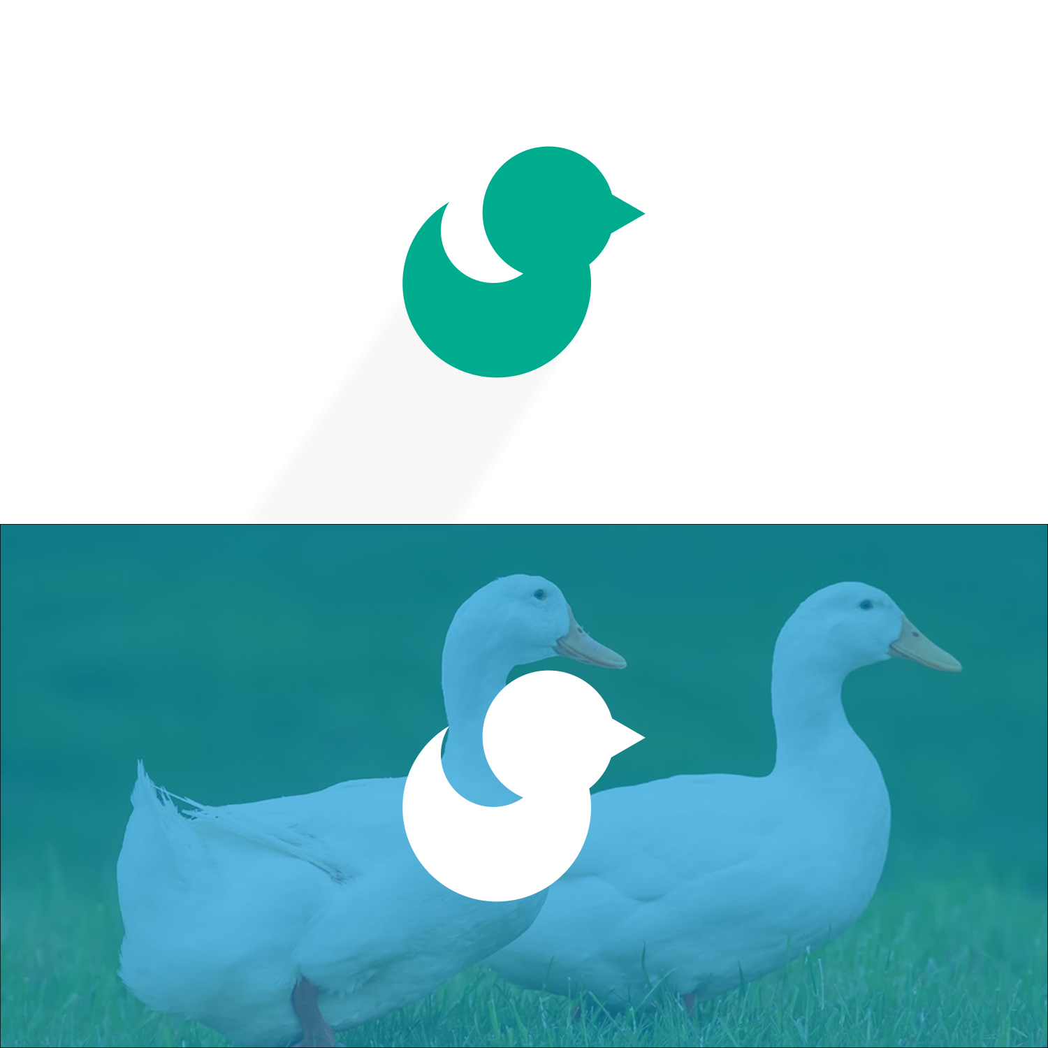 Logo Design by DesignIndra for Duck Technologies  | Design #33785406