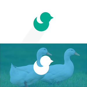 Logo Design by DesignIndra for Duck Technologies  | Design: #33785406