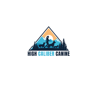 Design de Logo par coloratura