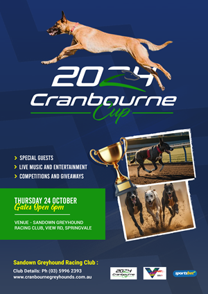 Flyer Design by Solution 3 Graphics