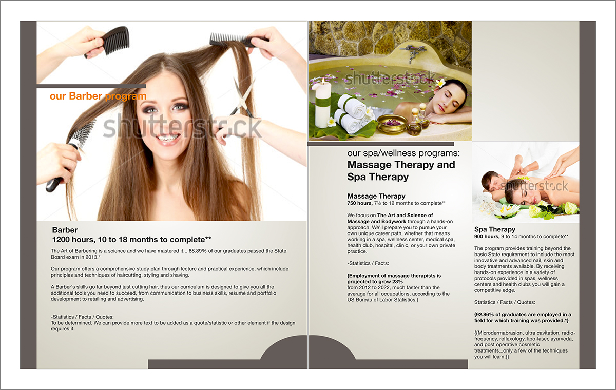 Brochure Design by dkthedon for this project | Design #3167557