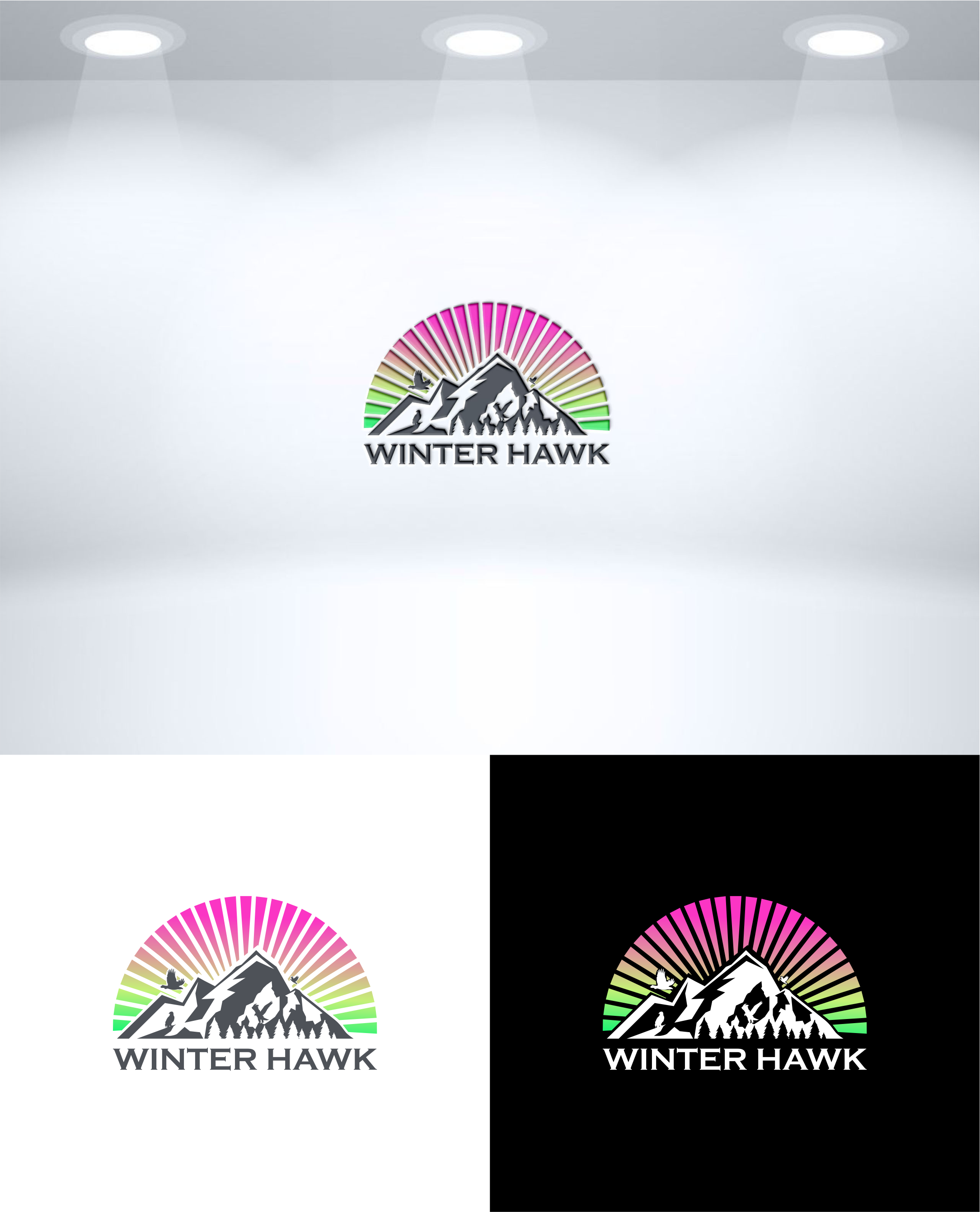 Logo Design by healer1617 for Winter Hawk Images | Design #33795133