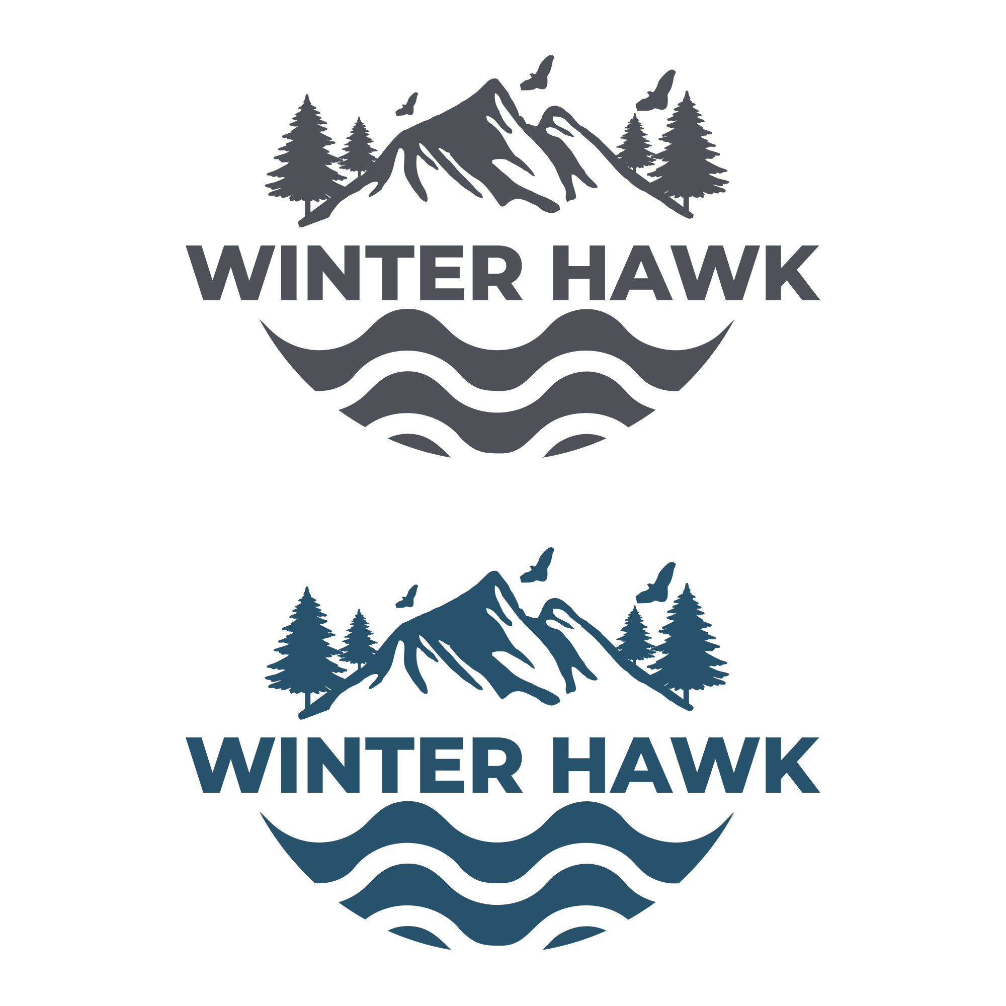 Logo Design by initials_MAN for Winter Hawk Images | Design #33805789