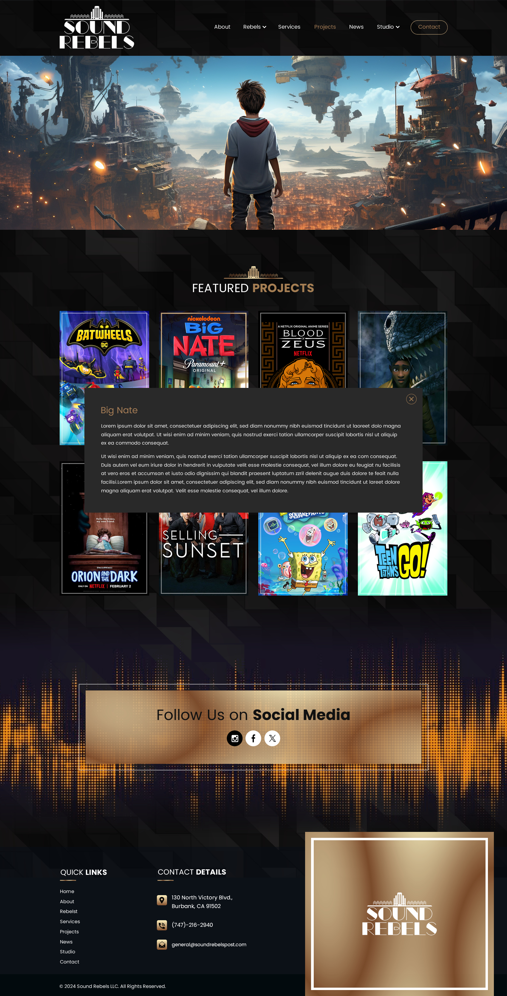 Web Design by Sbss for Sound Rebels LLC | Design #34015828