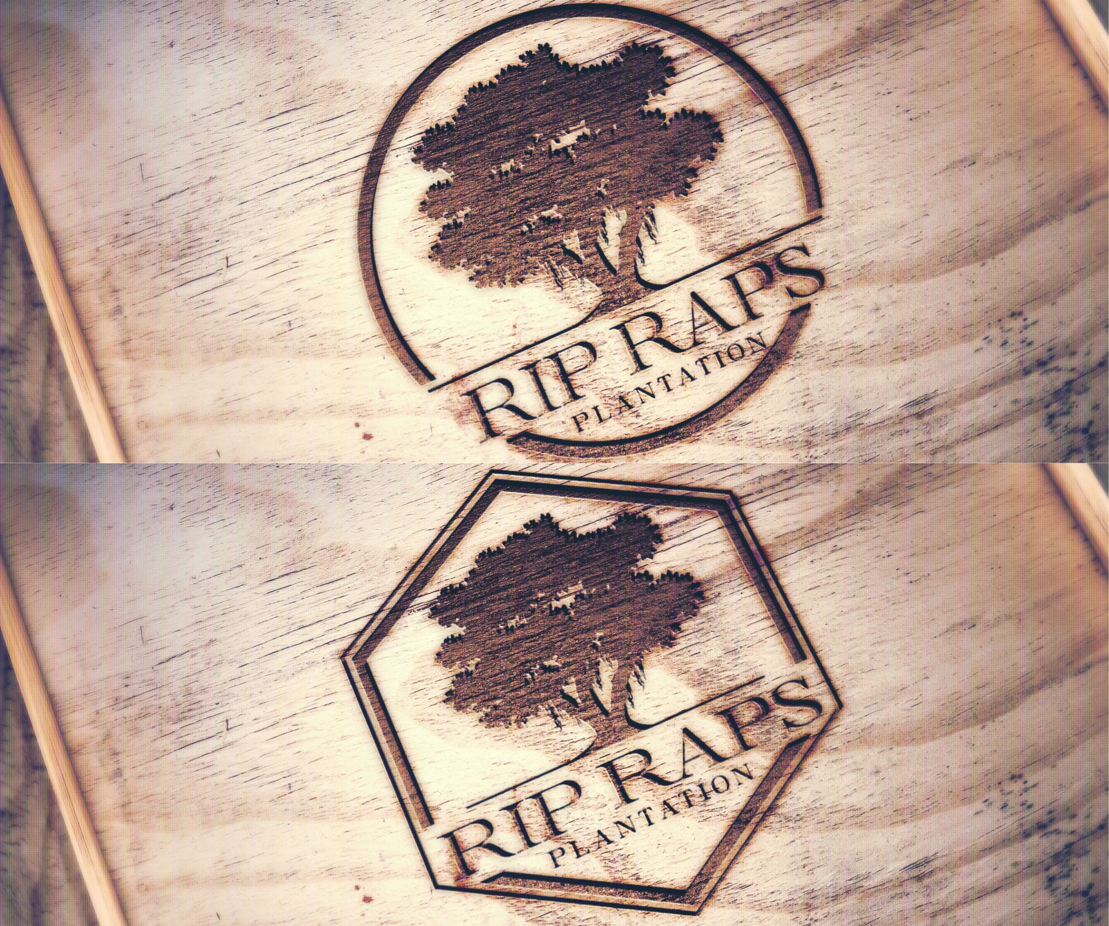 Logo Design by alkaline for this project | Design #33811228