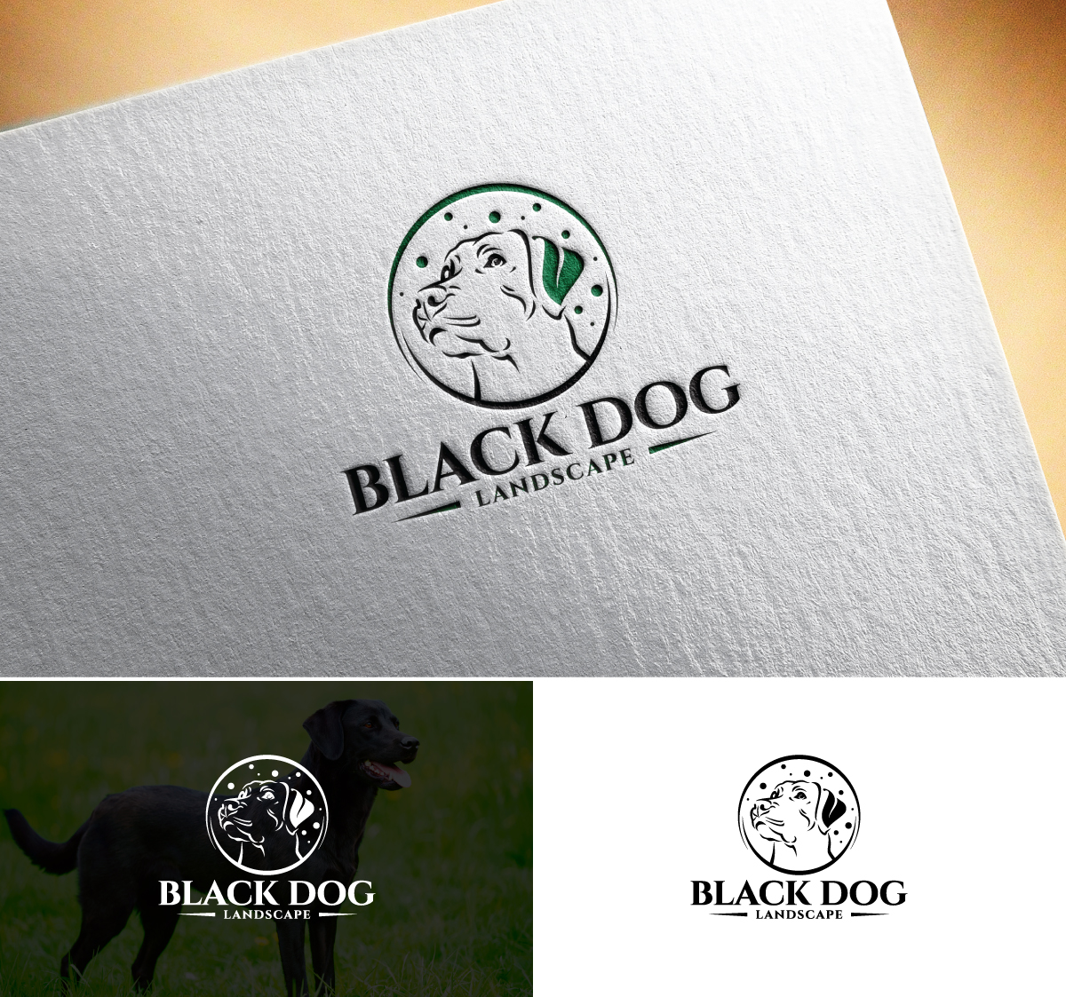 Logo Design by Logo Stock for this project | Design #33845777