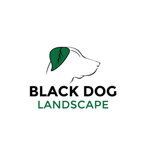 Logo-Design von Casey Kelechi für dieses Projekt | Design #33842337