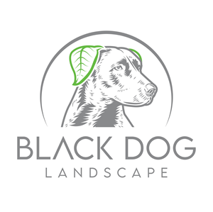 Logo Design by John Mark Arts for this project | Design: #33842820