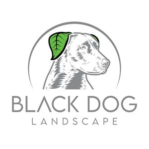 Logo Design by John Mark Arts for this project | Design: #33842822