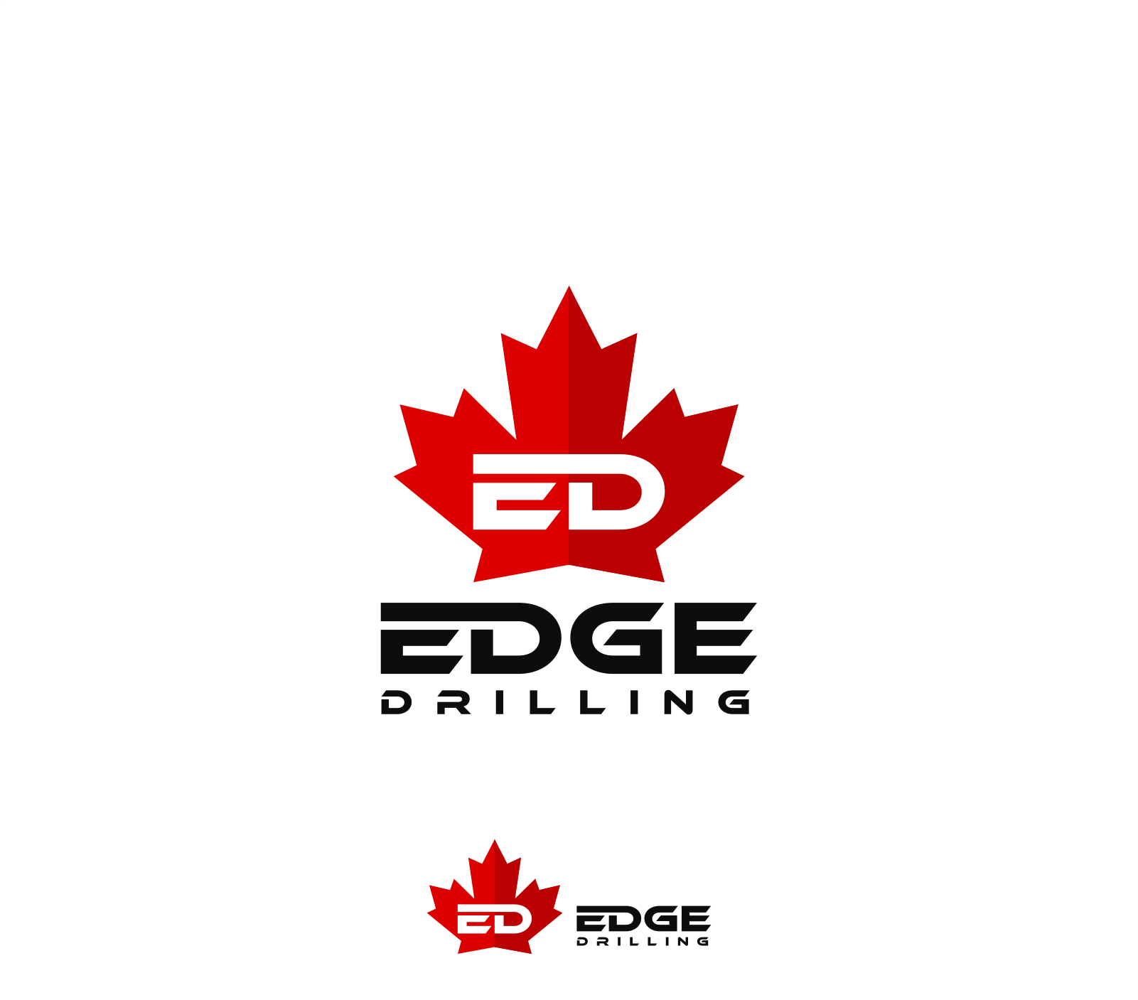 Logo Design by Sigeto for this project | Design #33808231