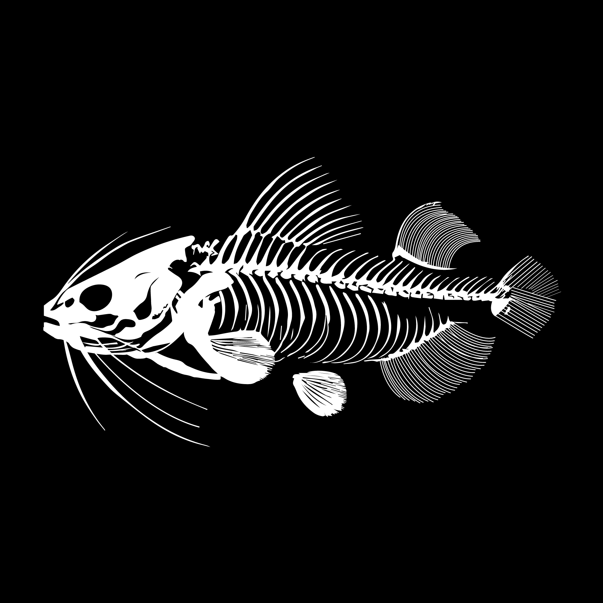 Graphic Design by Casey Kelechi for Cast Threads | Design #33809078