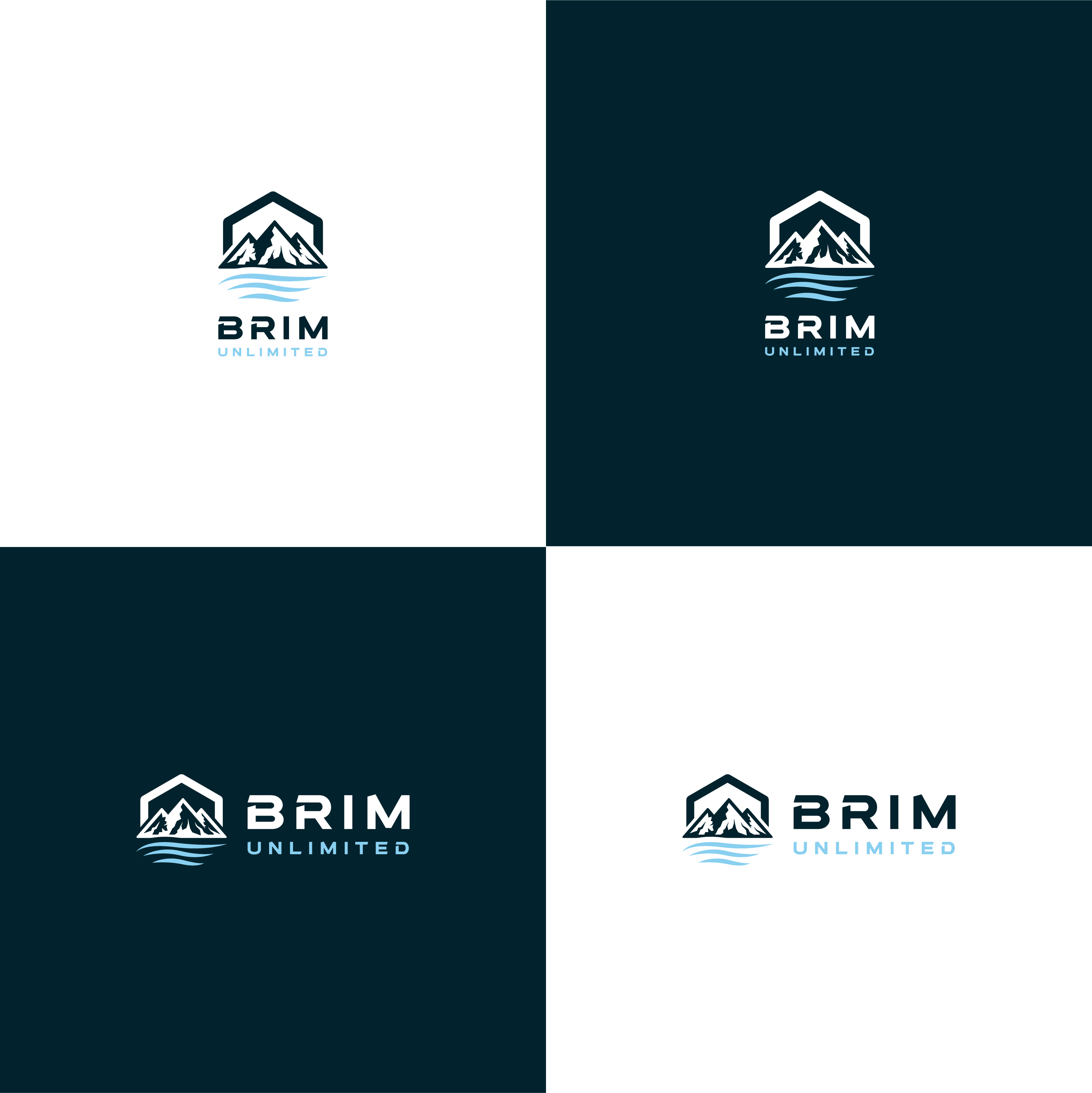 Design de Logo par Ally Mac pour Brim Unlimited | Design #33848477