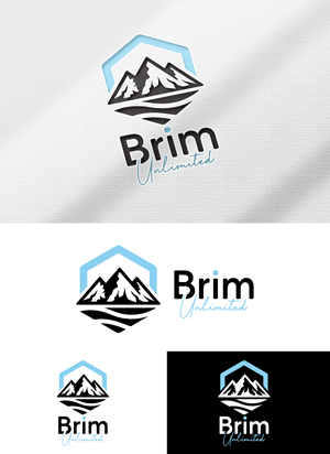 Logo Design by StromDesignHub for Brim Unlimited | Design: #33816771