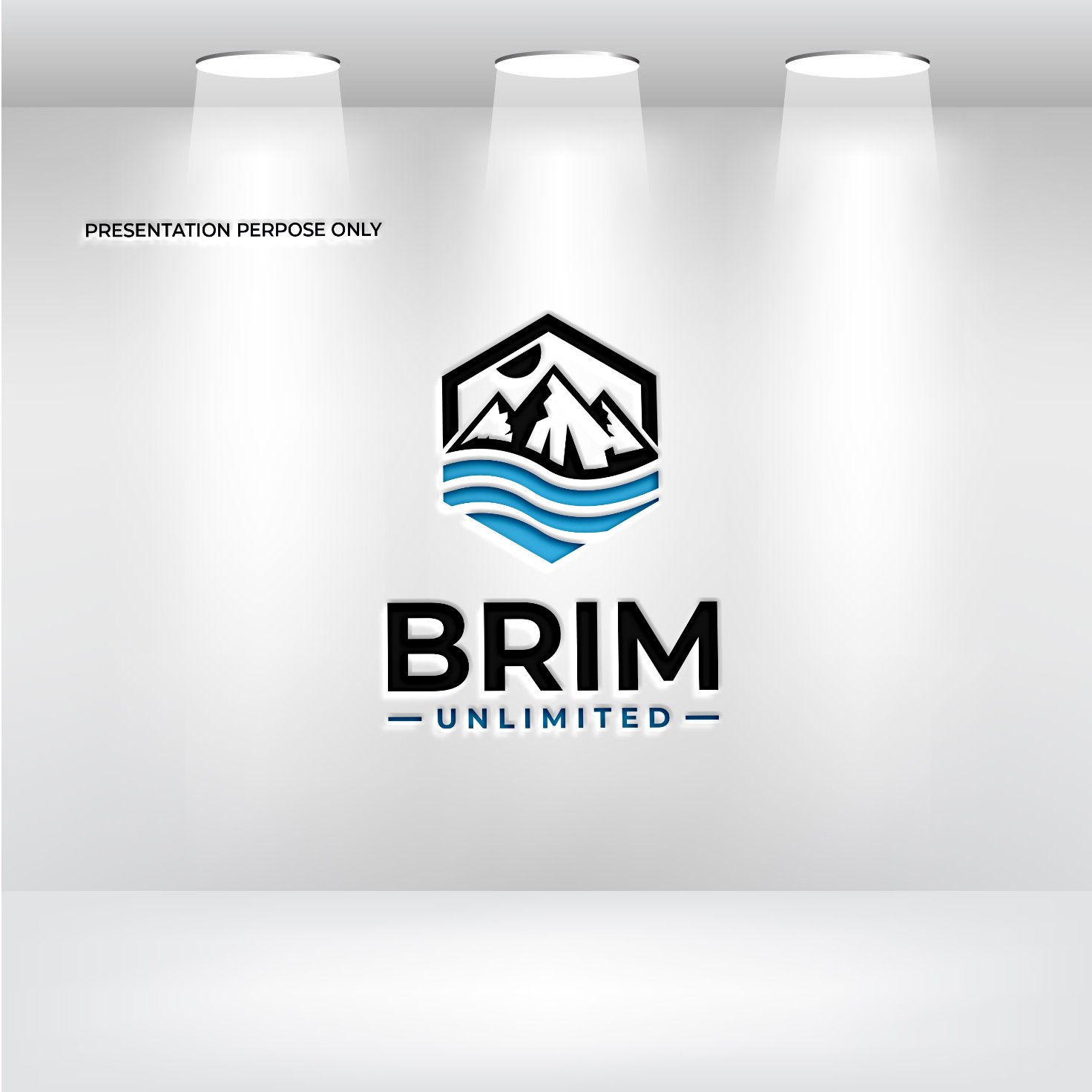 Logo Design by RS_Design for Brim Unlimited | Design #33809397