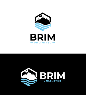 Logo Design by RS_Design for Brim Unlimited | Design: #33809433