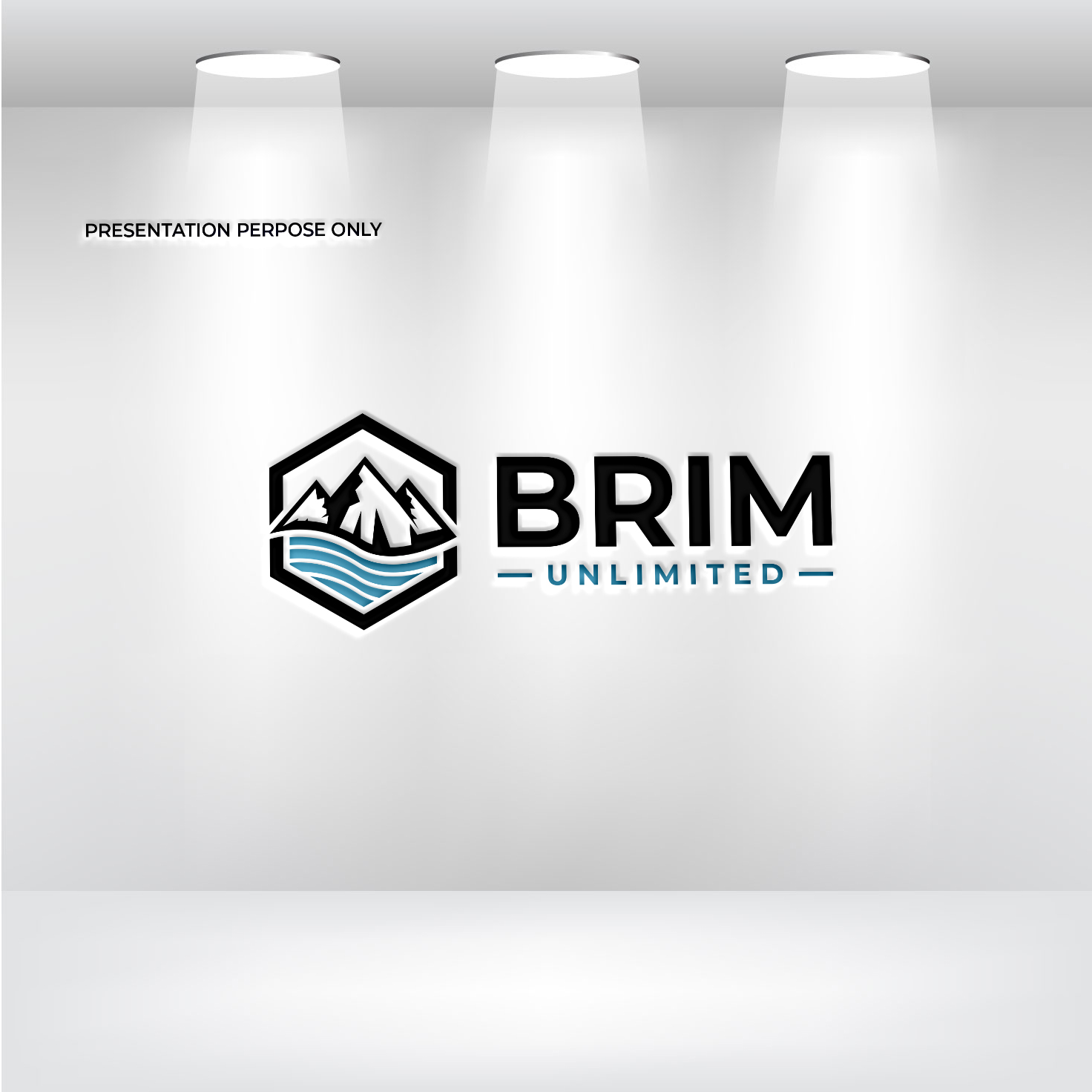 Logo Design by RS_Design for Brim Unlimited | Design #33809576