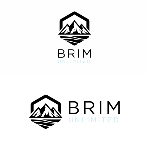 Logo Design by indaha2k for Brim Unlimited | Design: #33809740