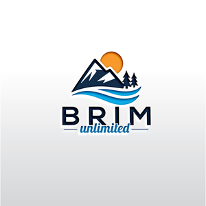 Logo Design by Rosalie.. for Brim Unlimited | Design: #33824037