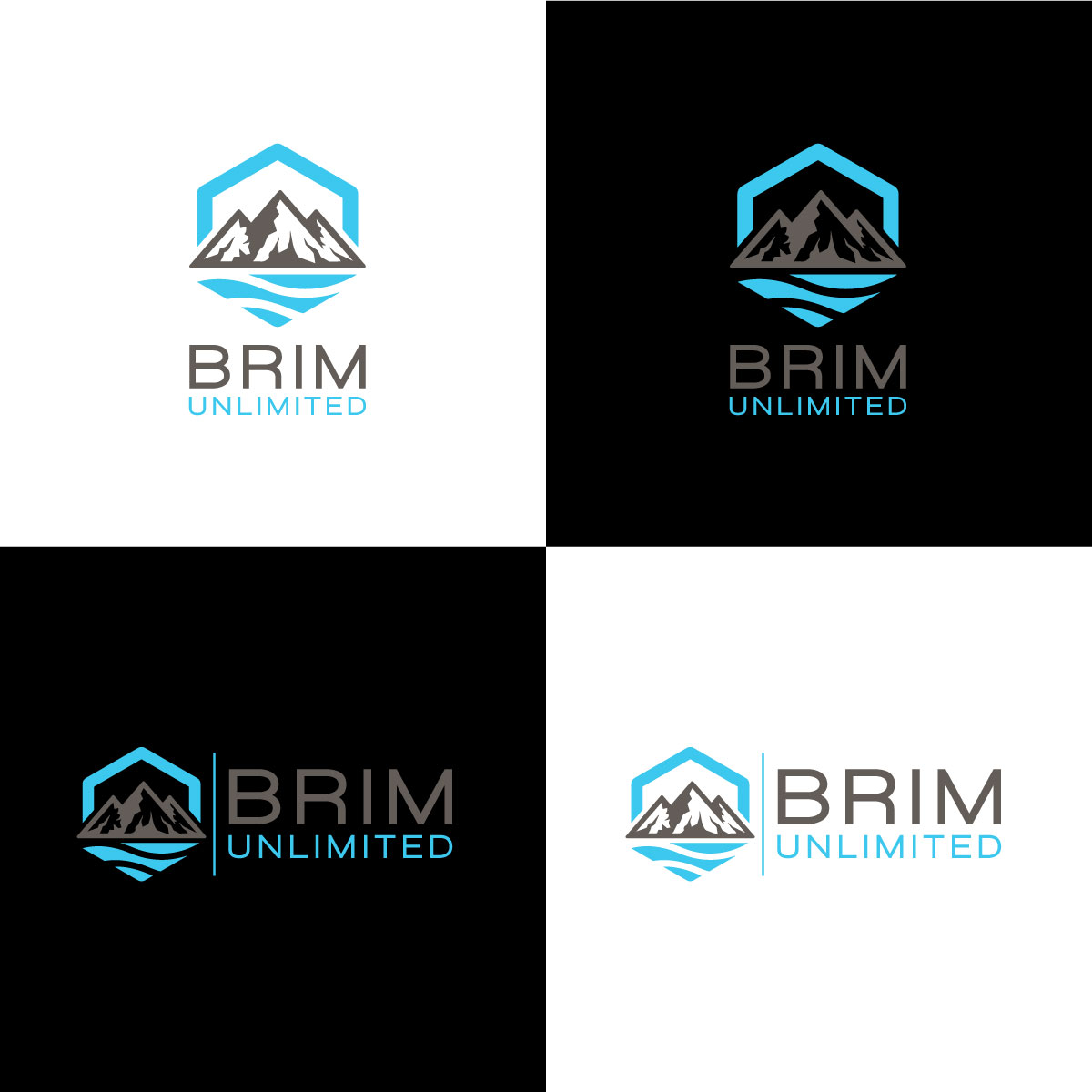 Logo Design by chris Ray for Brim Unlimited | Design #33811779