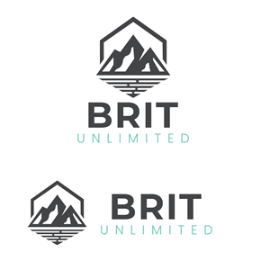 Logo Design by Rahman384 for Brim Unlimited | Design: #33810547