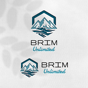 Design de Logo par Design_Duo pour Brim Unlimited | Design : #33845600
