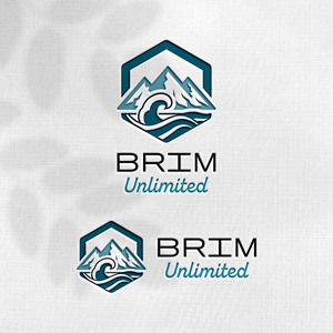 Design de Logo par Design_Duo pour Brim Unlimited | Design : #33845601