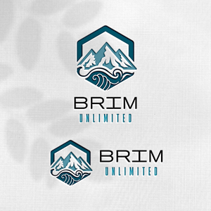 Design de Logo par Design_Duo pour Brim Unlimited | Design : #33845602