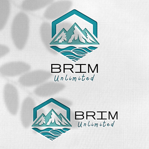 Design de Logo par Design_Duo pour Brim Unlimited | Design : #33846200