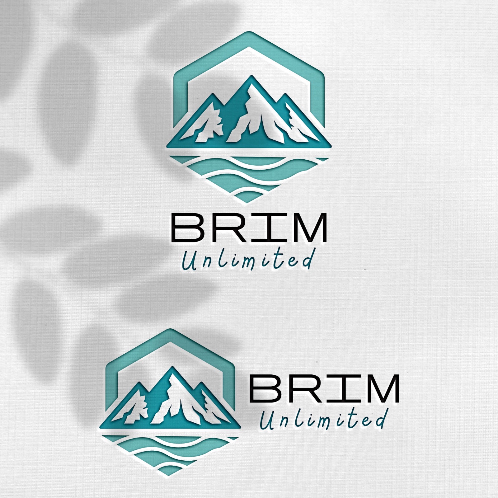 Design de Logo par Design_Duo pour Brim Unlimited | Design #33846202
