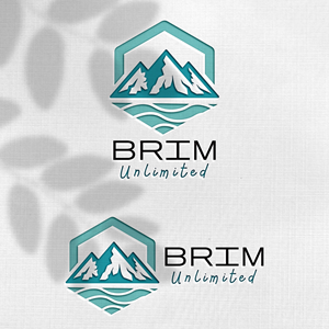 Design de Logo par Design_Duo pour Brim Unlimited | Design : #33846202